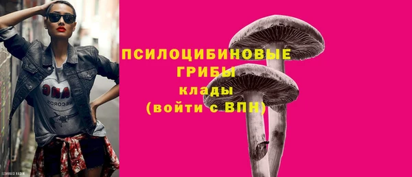трава Зеленокумск