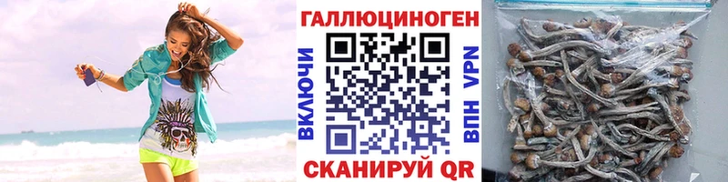 сколько стоит Инза Псилоцибиновые грибы мухоморы